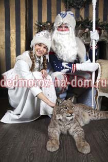 ������� ���� ������ � ���������� -  �������� �����������