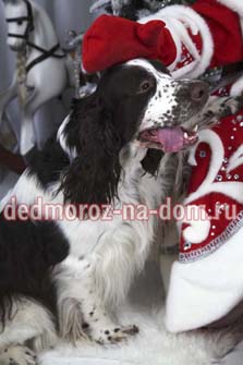 ������� ���� ������ � ���������� -  ������